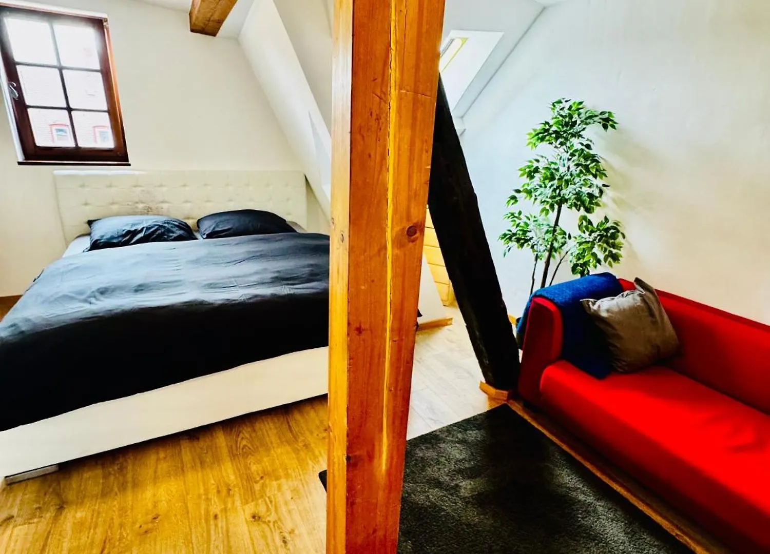 Cozy Small One Room Apartment